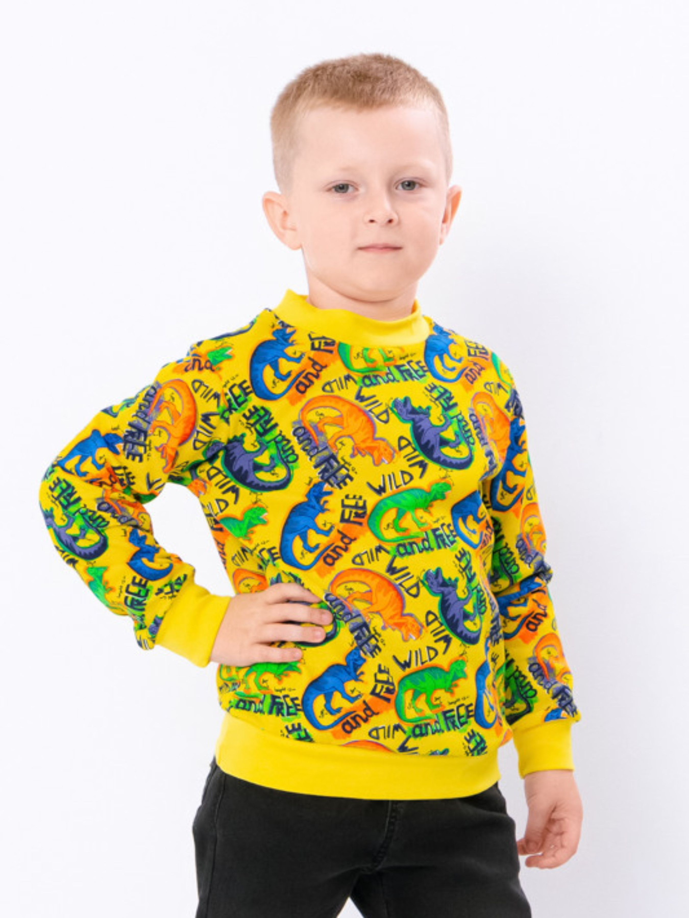 Свитшот Носи своє модель 6069-024-4-dno-burshtin Фото