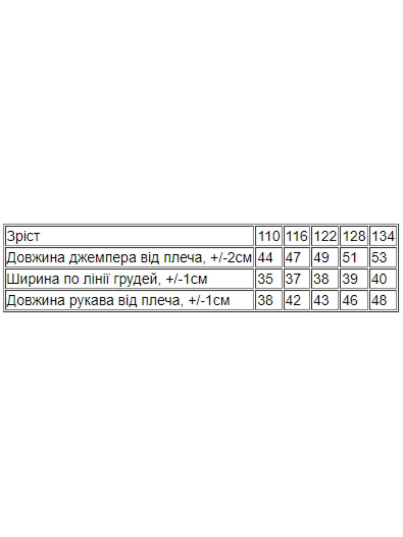 Свитшот Носи своє модель 6069-024-4-dno-burshtin Фото