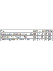 Свитшот Носи своє модель 6069-024-4-dno-burshtin Фото