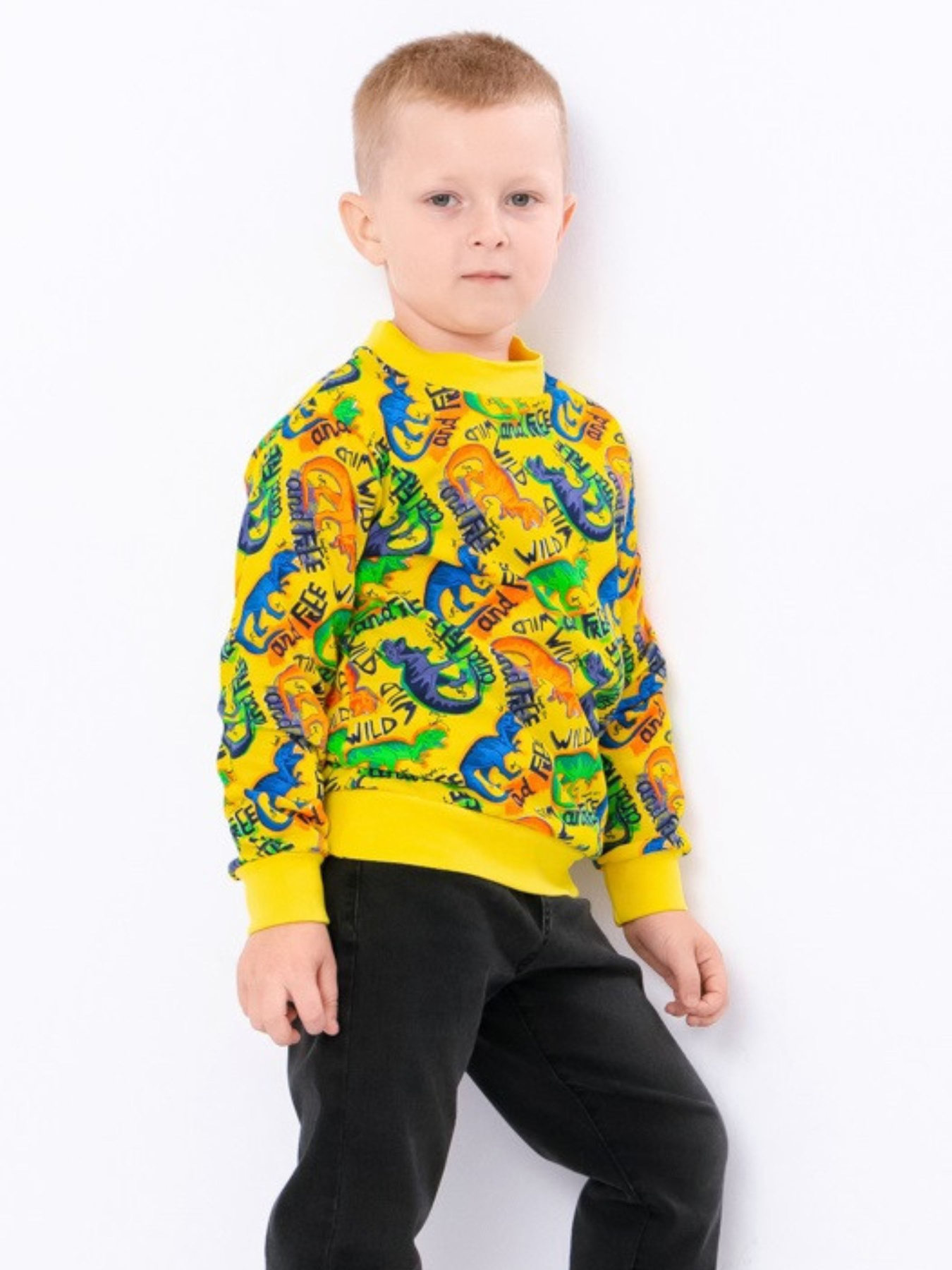 Світшот Носи своє модель 6069-024-4-dno-burshtin Фото