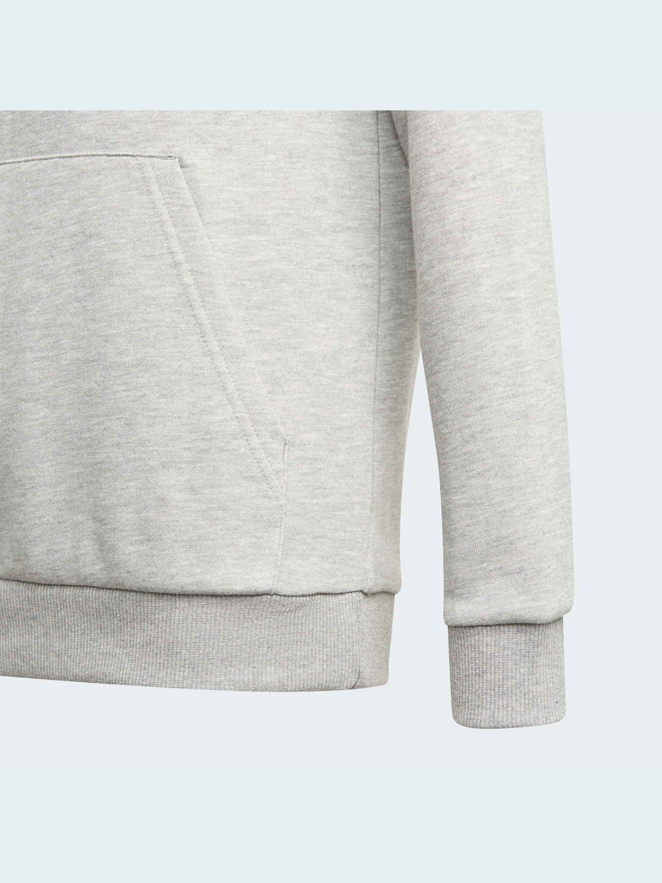 Худи Adidas модель GN4019 Фото