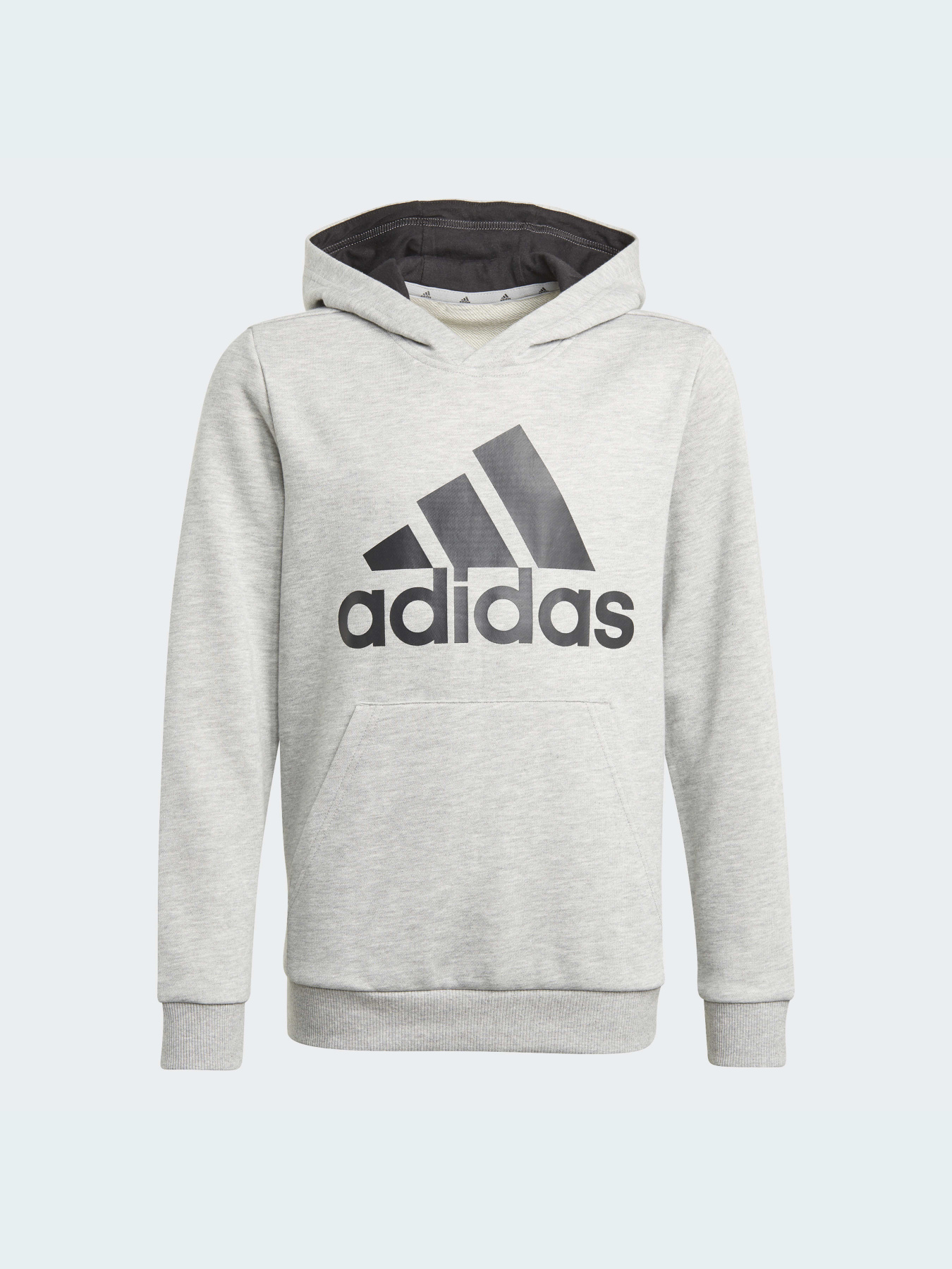 Худи Adidas модель GN4019 Фото