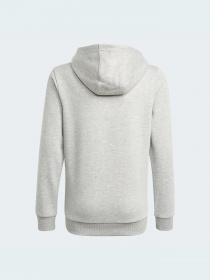 Худи Adidas модель GN4019 Фото