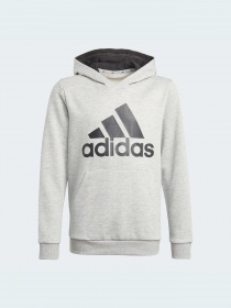 Худи Adidas модель GN4019 Фото