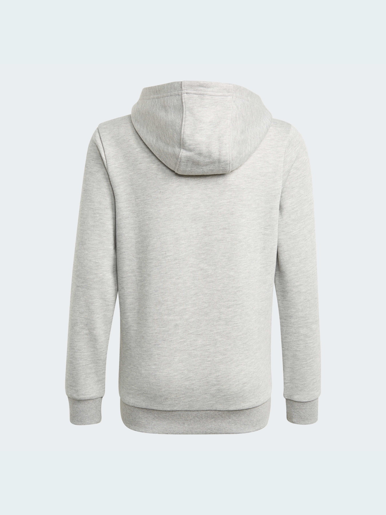 Худі Adidas модель GN4019 Фото