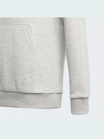 Худі Adidas модель GN4019 Фото