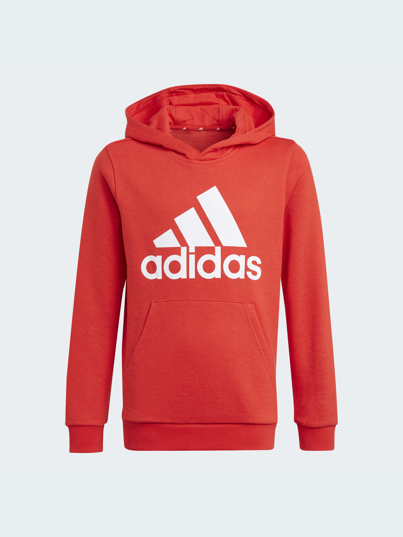 Худи Adidas модель GN4037 Фото