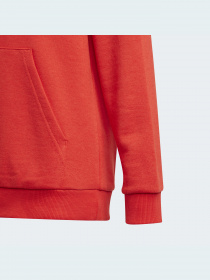 Худи Adidas модель GN4037 Фото