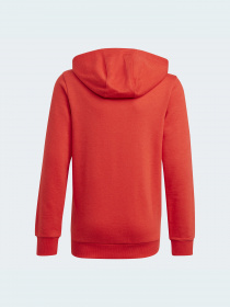 Худи Adidas модель GN4037 Фото