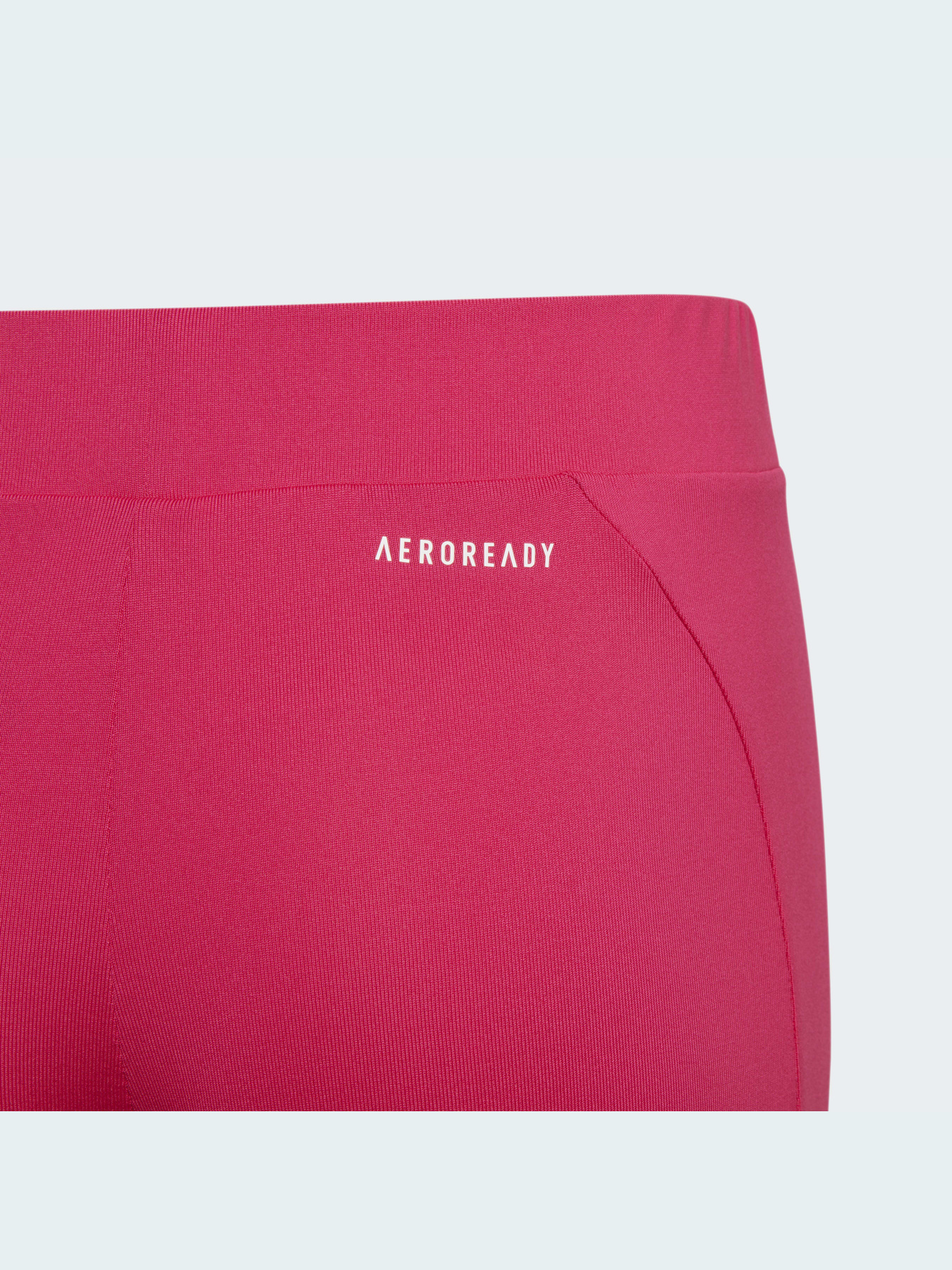 Леггинсы спортивные Adidas модель HM4479 Фото