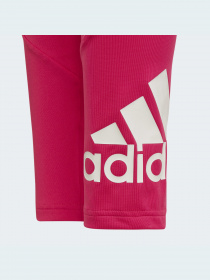 Спортивные леггинсы Adidas модель HM4479 Фото