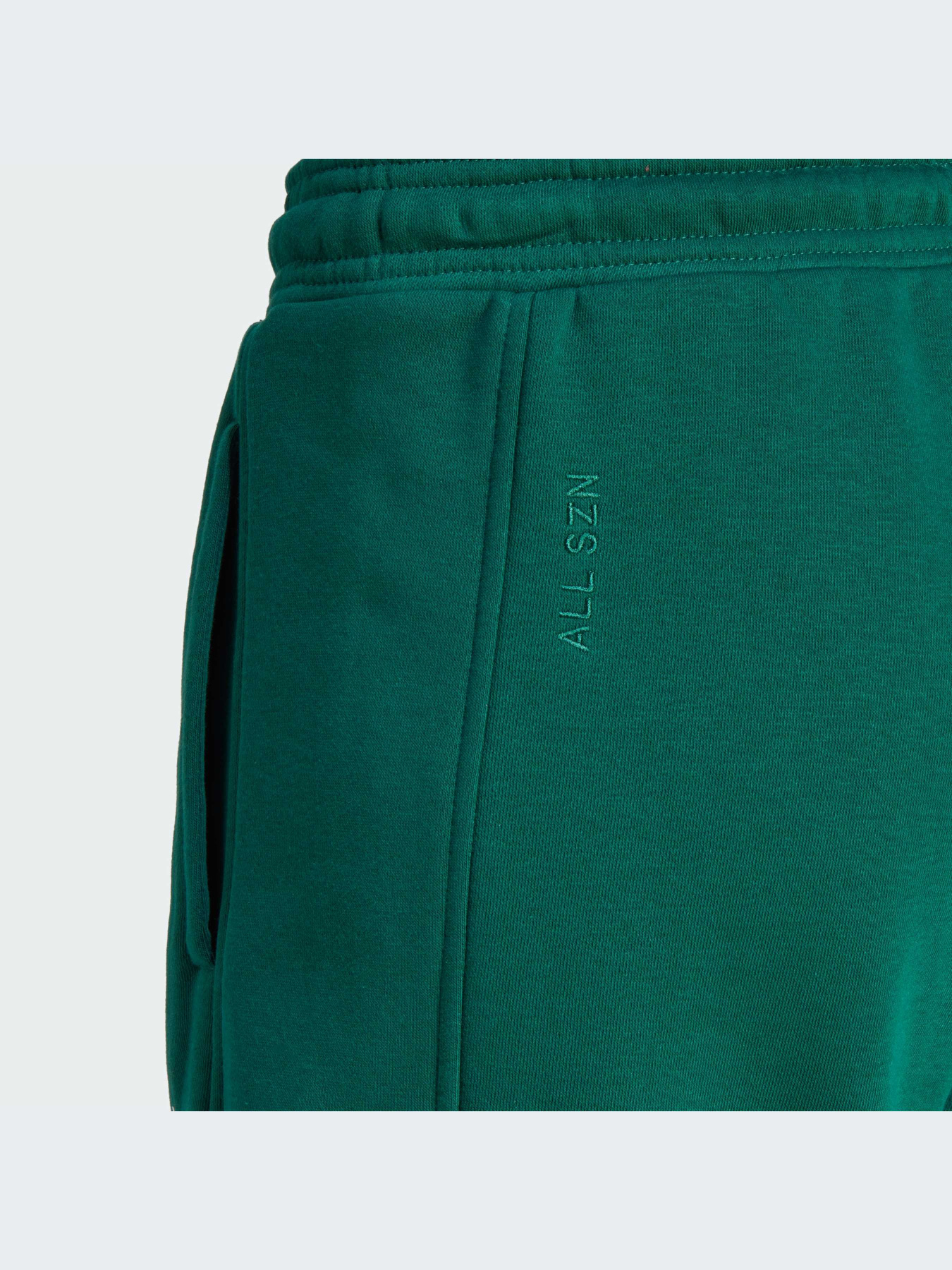 Повсякденні штани Adidas модель IL3240 Фото