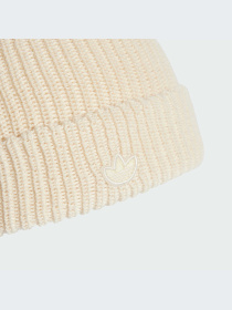 Шапка Adidas Adicolor модель IL8443 Фото