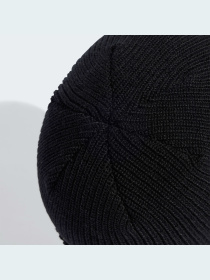 Шапка Adidas Adicolor модель IL8441 Фото