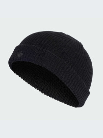 Шапка Adidas Adicolor модель IL8441 Фото