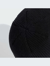 Шапка Adidas Adicolor модель IL8441 Фото