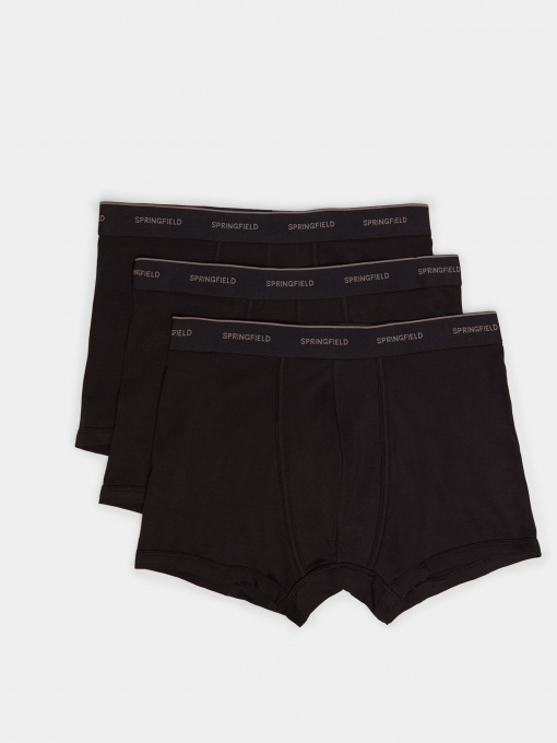 Набір трусів SPRINGFIELD модель 1255823-01 Фото