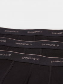 Набор трусов SPRINGFIELD модель 1255823-01 Фото