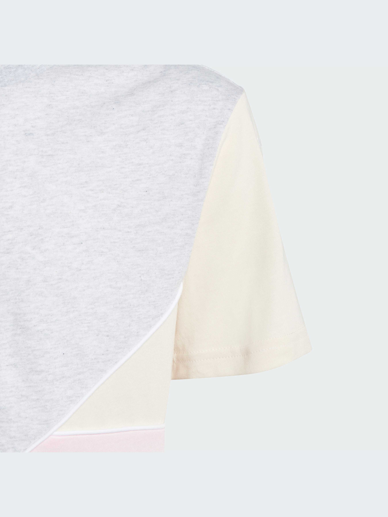 Футболка Adidas Adicolor модель IJ5388 Фото