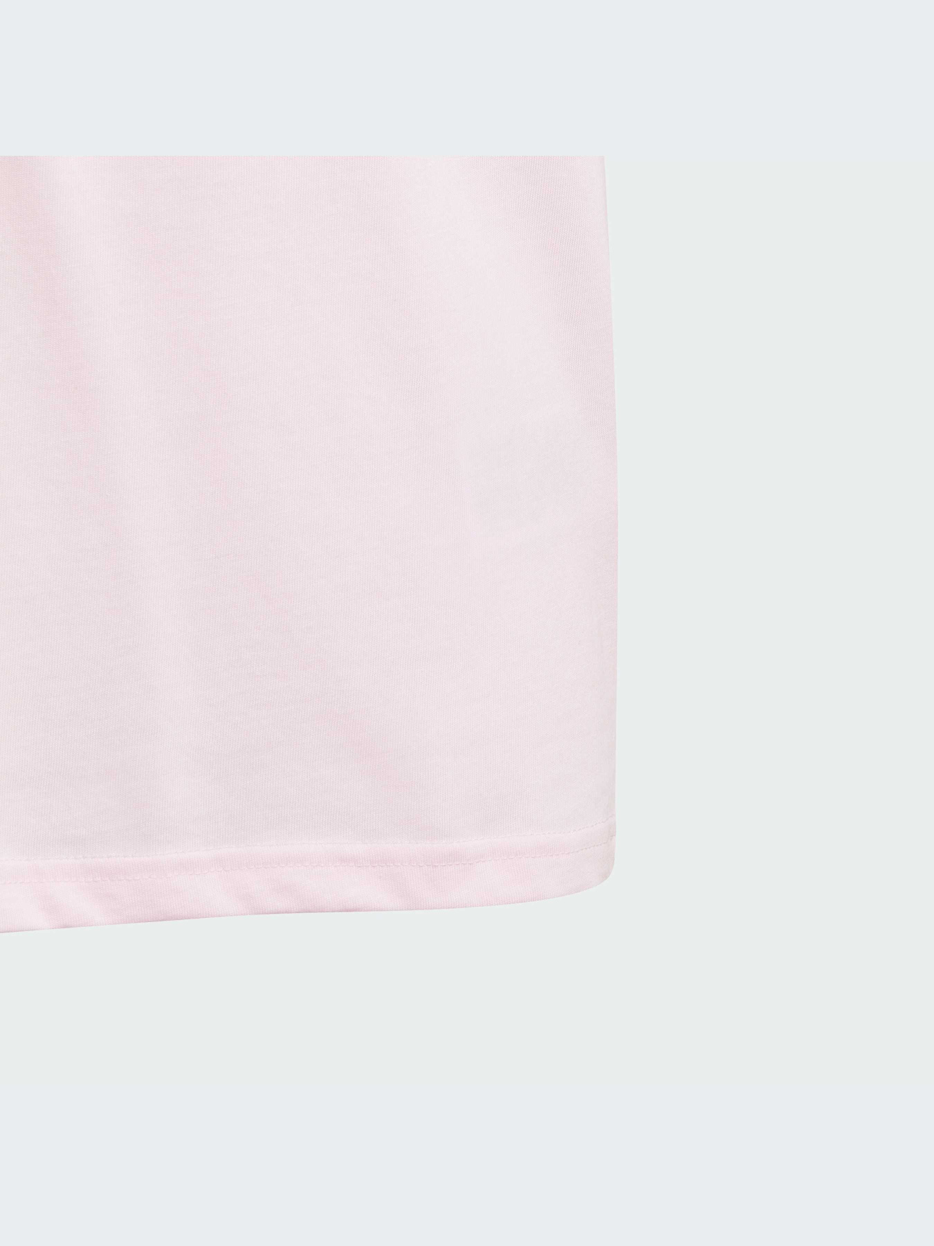 Футболка Adidas Adicolor модель IJ5388 Фото