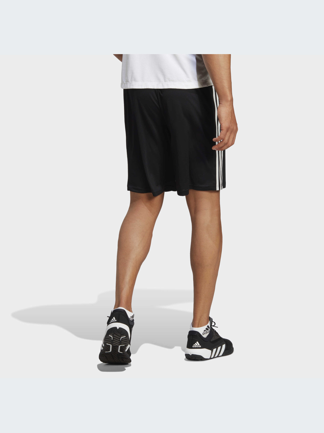 Шорты спортивные Adidas модель IB8243 Фото