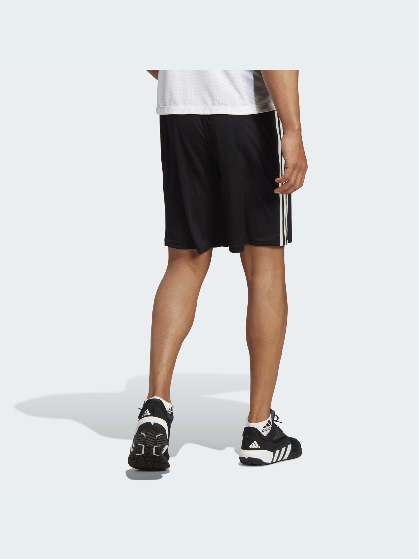 Шорты спортивные Adidas модель IB8243 Фото