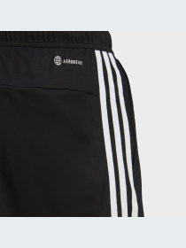 Шорты спортивные Adidas модель IB8243 Фото