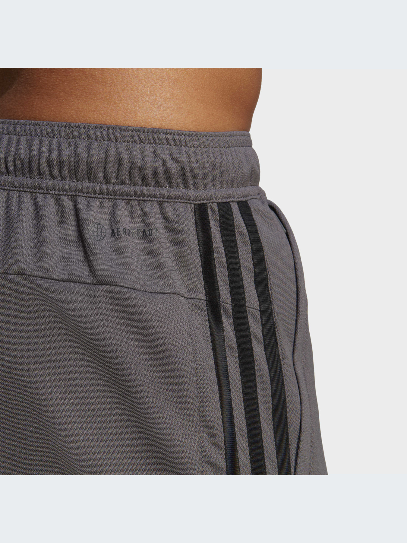 Шорты спортивные Adidas модель IB8245 Фото