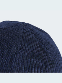 Шапка Adidas Adicolor модель IL8442 Фото