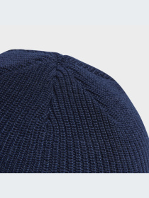 Шапка Adidas Adicolor модель IL8442 Фото