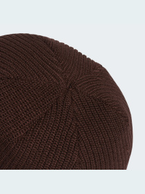 Шапка Adidas Adicolor модель IL8444 Фото