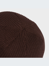 Шапка Adidas Adicolor модель IL8444 Фото