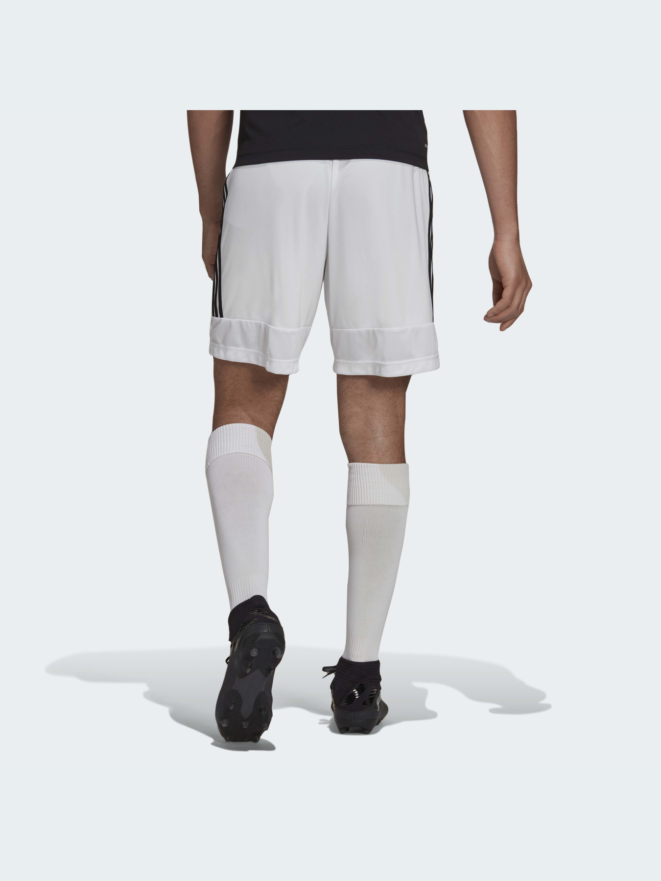 Шорты спортивные Adidas 3 Stripes модель H28913 Фото