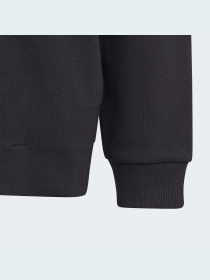 Худі Adidas модель HR6301 Фото