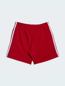 Спортивный костюм Adidas Adicolor модель IB8639 Фото