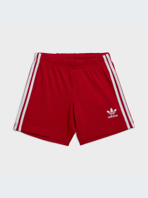 Спортивный костюм Adidas Adicolor модель IB8639 Фото