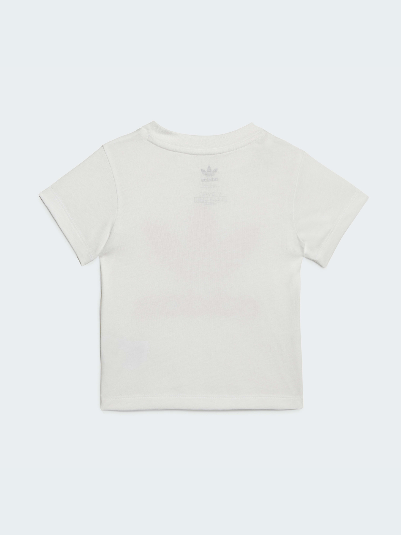 Спортивный костюм Adidas Adicolor модель IB8639 Фото