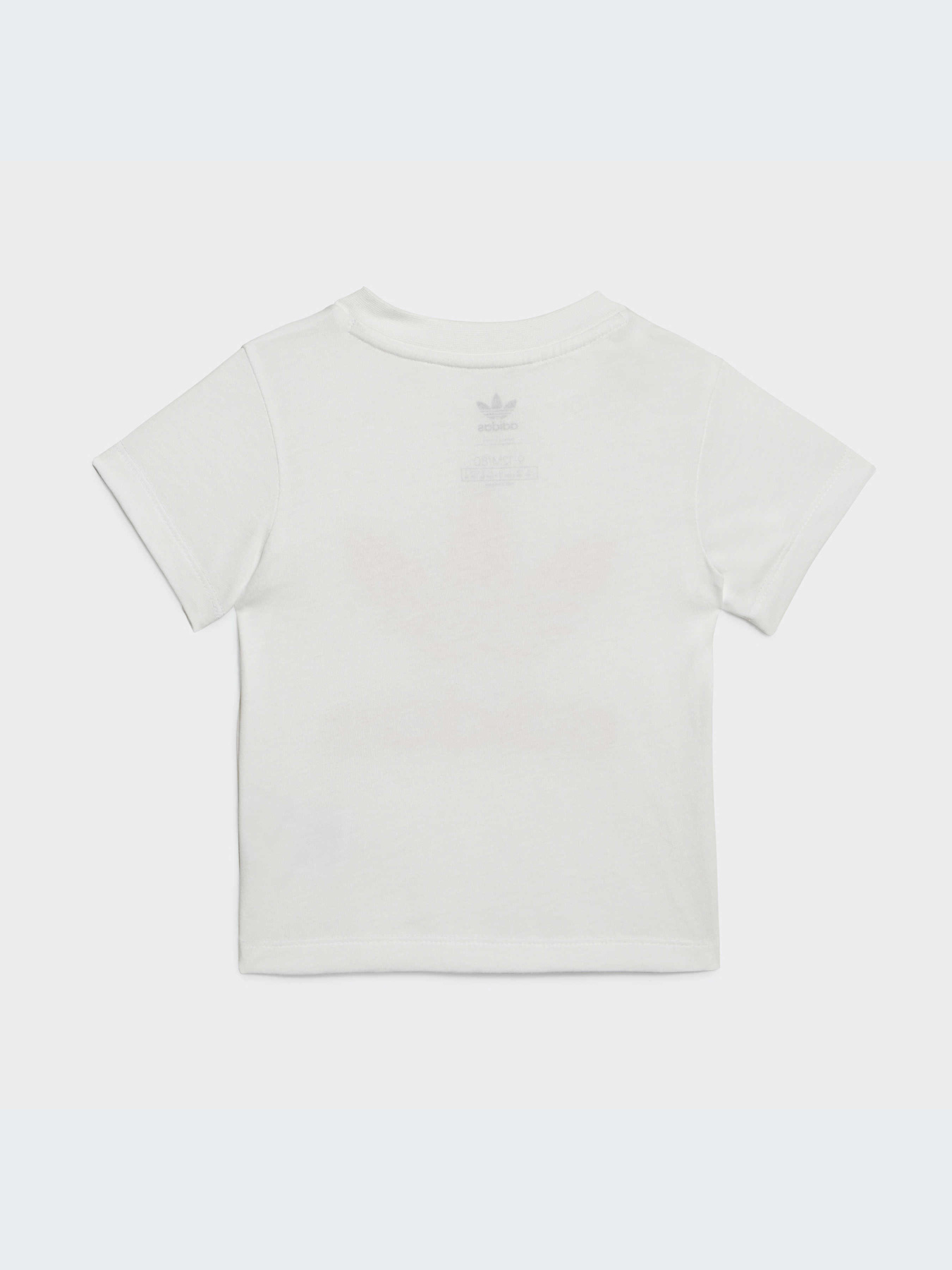 Спортивный костюм Adidas Adicolor модель IB8639 Фото