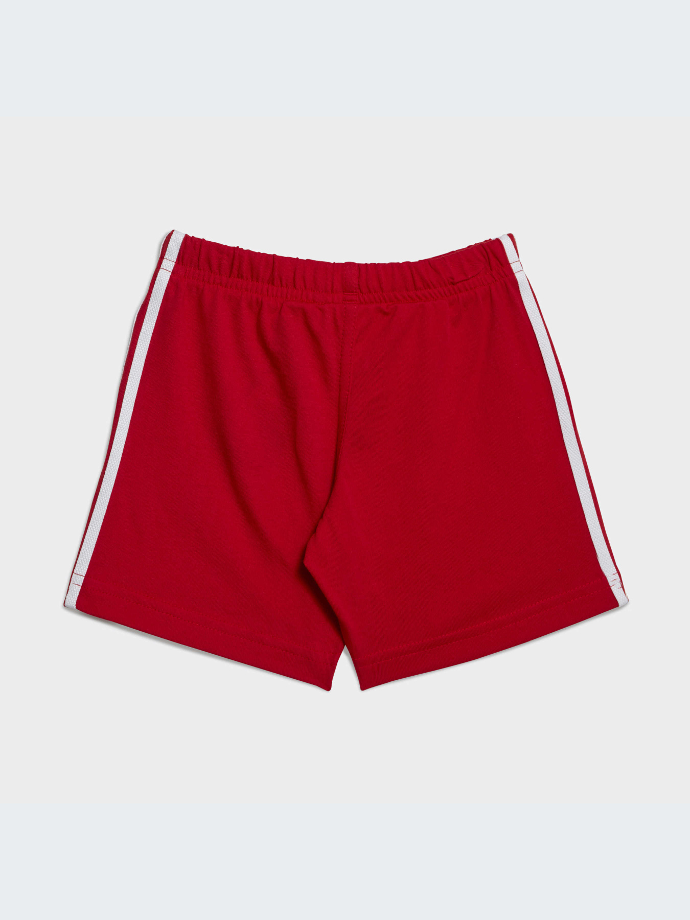 Спортивный костюм Adidas Adicolor модель IB8639 Фото