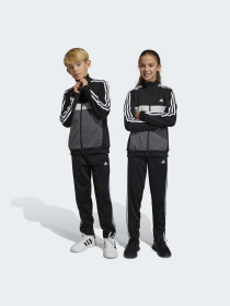 Спортивный костюм Adidas модель HR6406 Фото