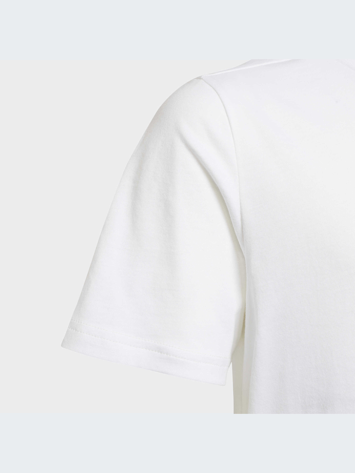 Футболка Adidas Adicolor модель HK0403 Фото