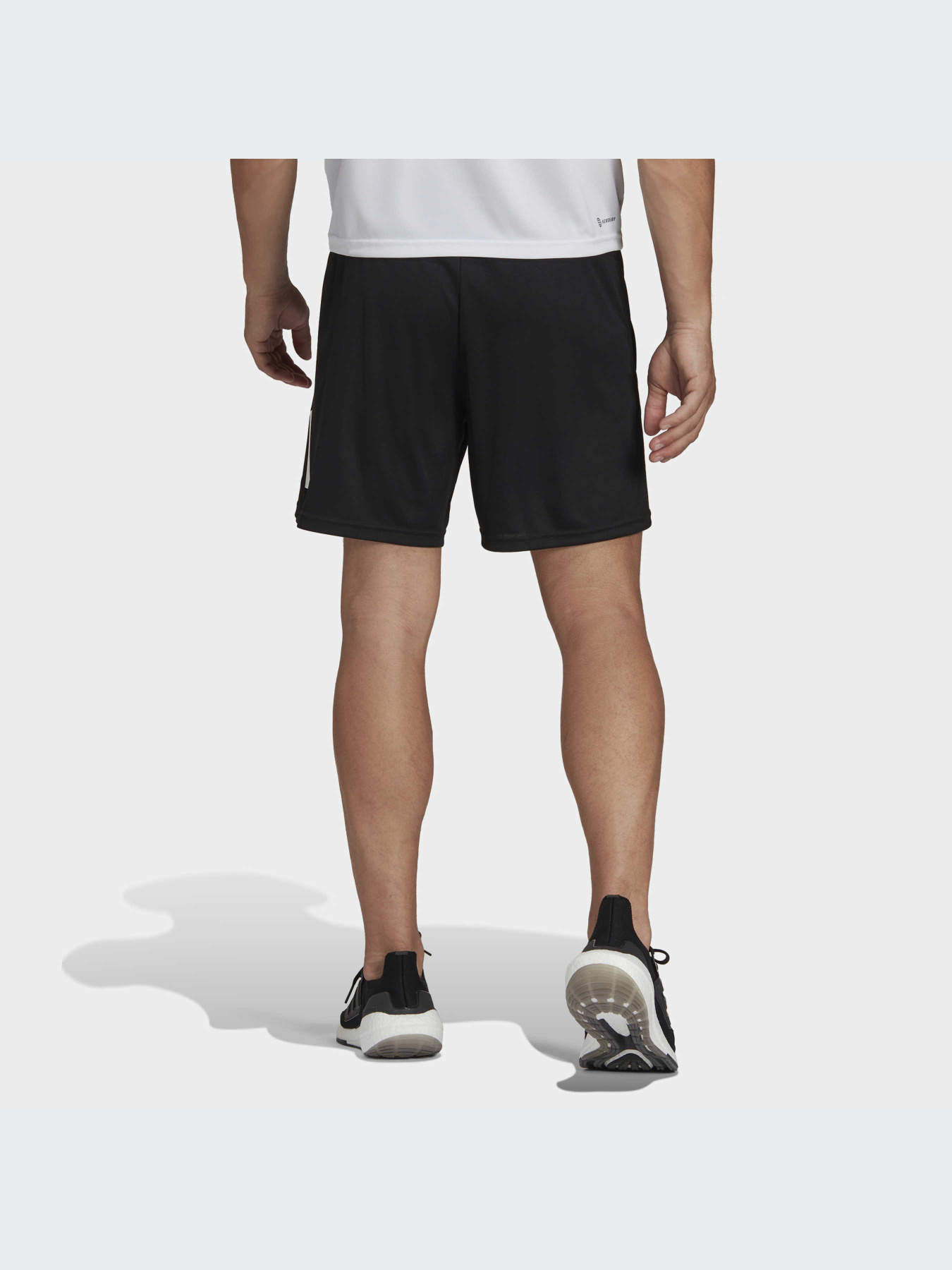 Спортивні шорти Adidas модель IB8121 Фото