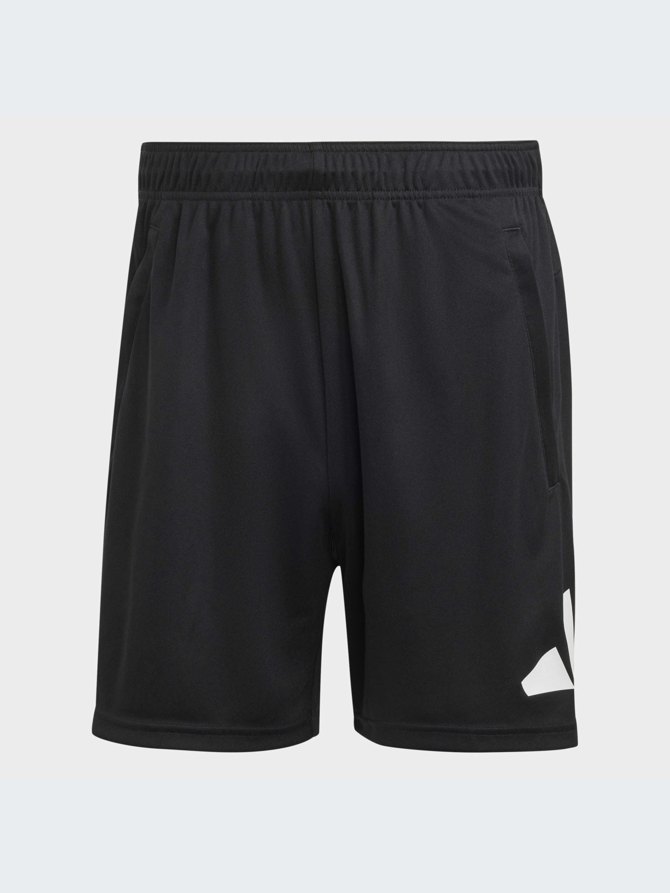 Спортивні шорти Adidas модель IB8121 Фото