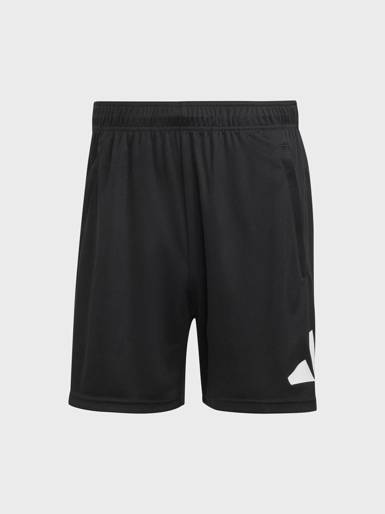 Спортивні шорти Adidas модель IB8121 Фото