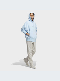 Худи Adidas Adicolor модель HS1519 Фото