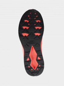 Кроссовки The North Face модель NF0A5G3MQN21 Фото