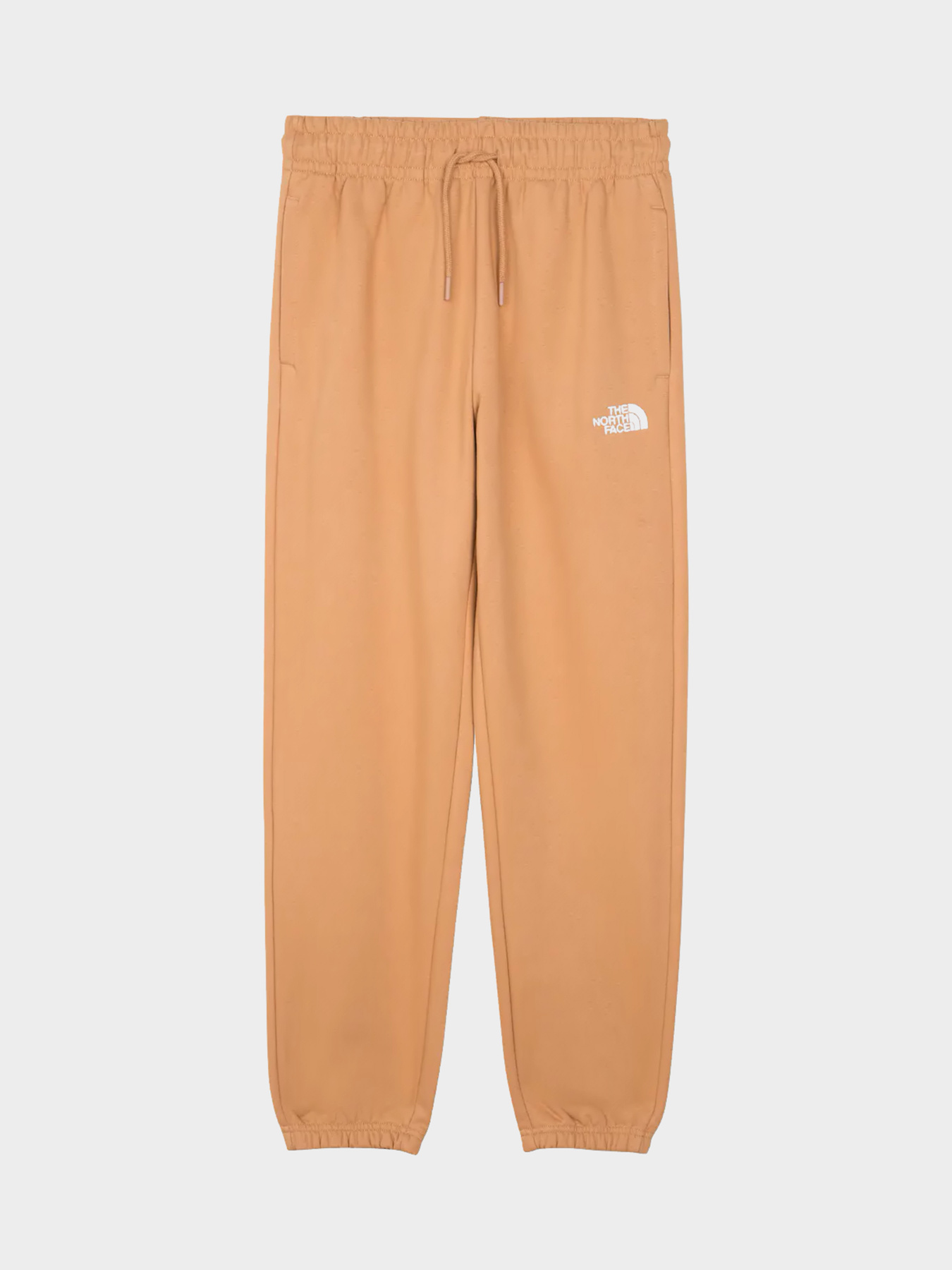 Брюки The North Face модель NF0A7ZJFI0J1 Фото