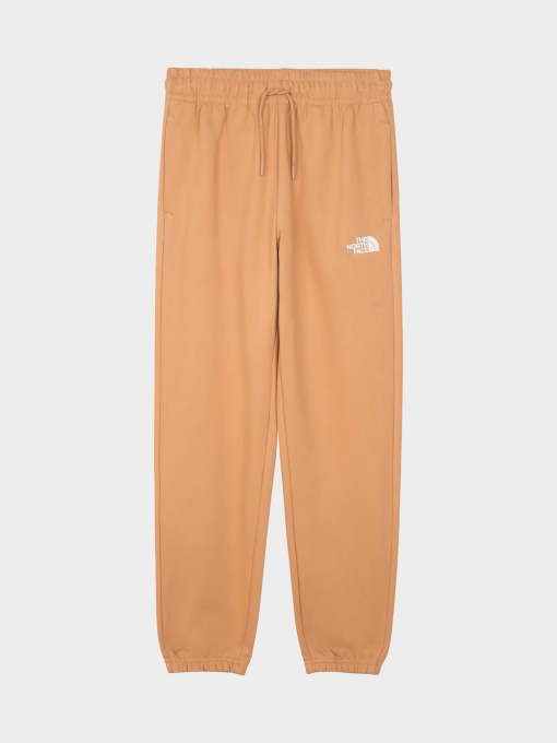 Брюки The North Face модель NF0A7ZJFI0J1 Фото