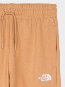 Брюки The North Face модель NF0A7ZJFI0J1 Фото