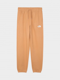 Брюки The North Face модель NF0A7ZJFI0J1 Фото